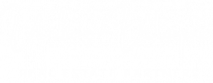 White Logo Real Estate Partners