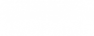 White Logo Real Estate Partners